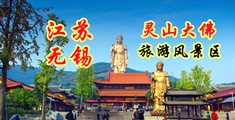 日黄色美女的屄江苏无锡灵山大佛旅游风景区