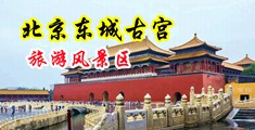 看操逼视频吧中国北京-东城古宫旅游风景区